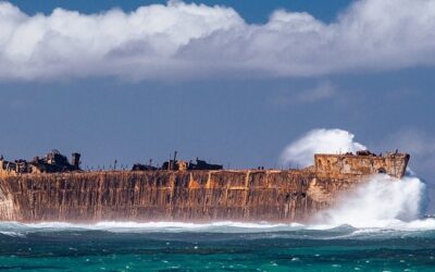 Seguro de transporte internacional para empresas